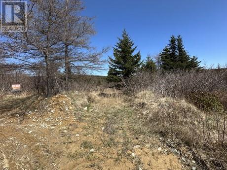 Photo 1 of 94 100 Rattles Road, Victoria NL