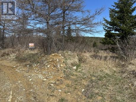 Photo 4 of 94 100 Rattles Road, Victoria NL