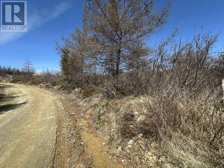Photo 5 of 94 100 Rattles Road, Victoria NL