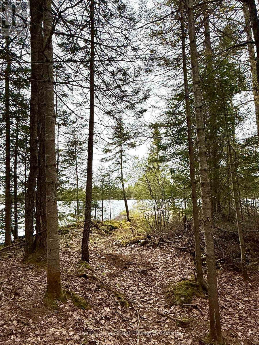 Photo 12 of 0 King Lake, Machar ON
