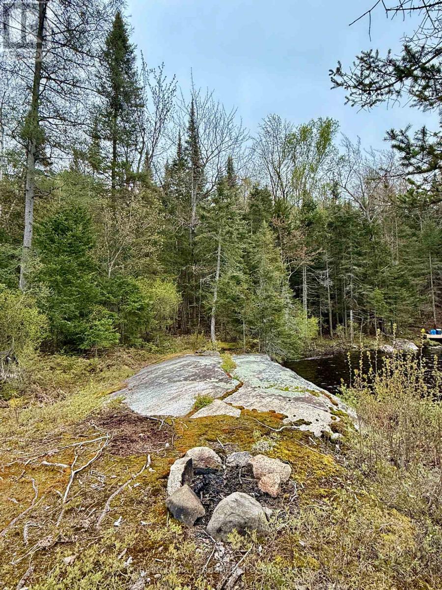 Photo 17 of 0 King Lake, Machar ON
