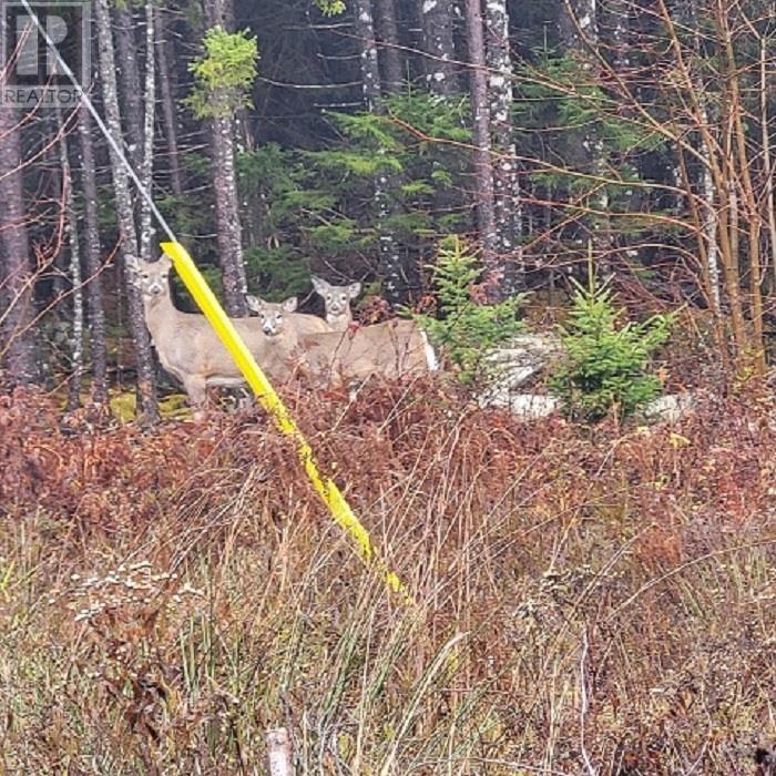 Property 4 of 5 of 9124 Upper Clyde Road