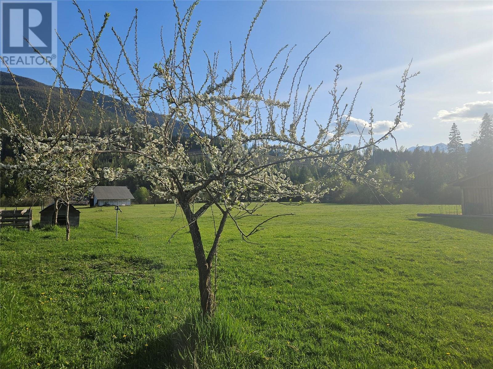 695 BROUSE LOOP Road Lot# 2, Nakusp