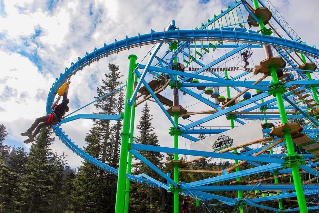 20449 EDELWEISS DRIVE, Mission