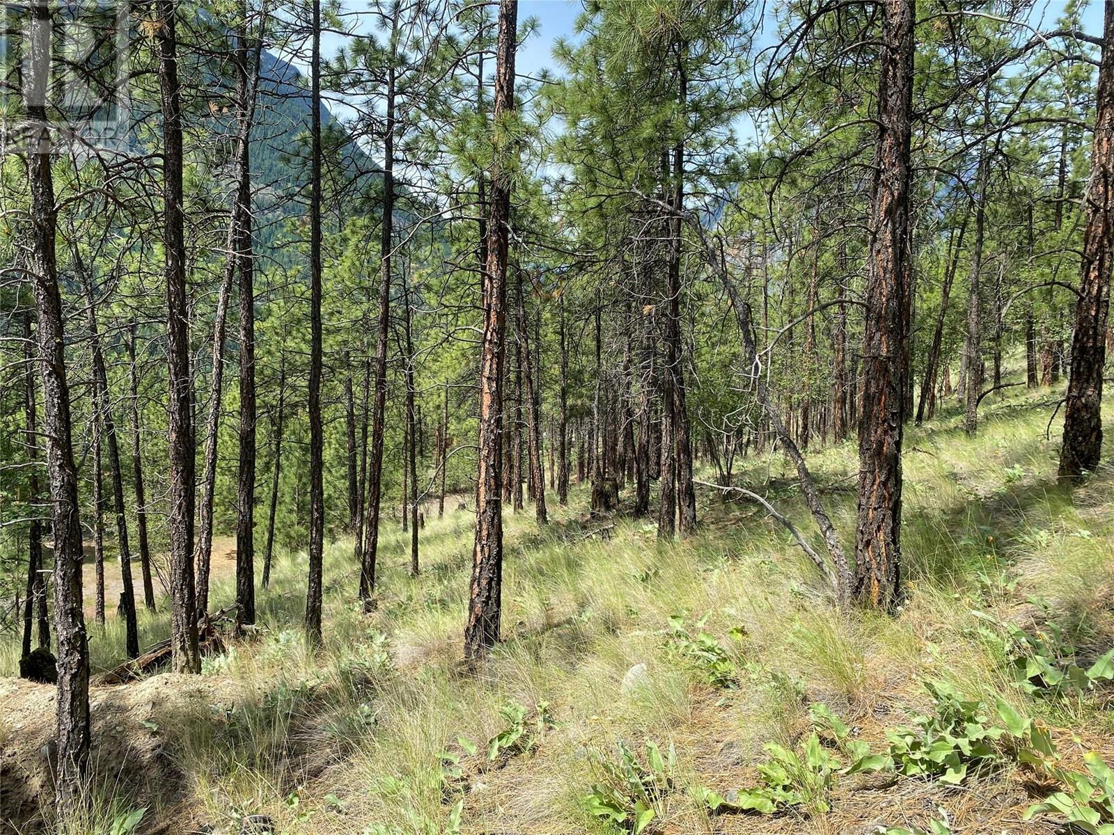 101 AIRPORT Road, Lillooet