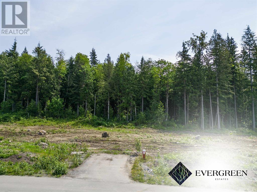 12462 271 STREET, Maple Ridge