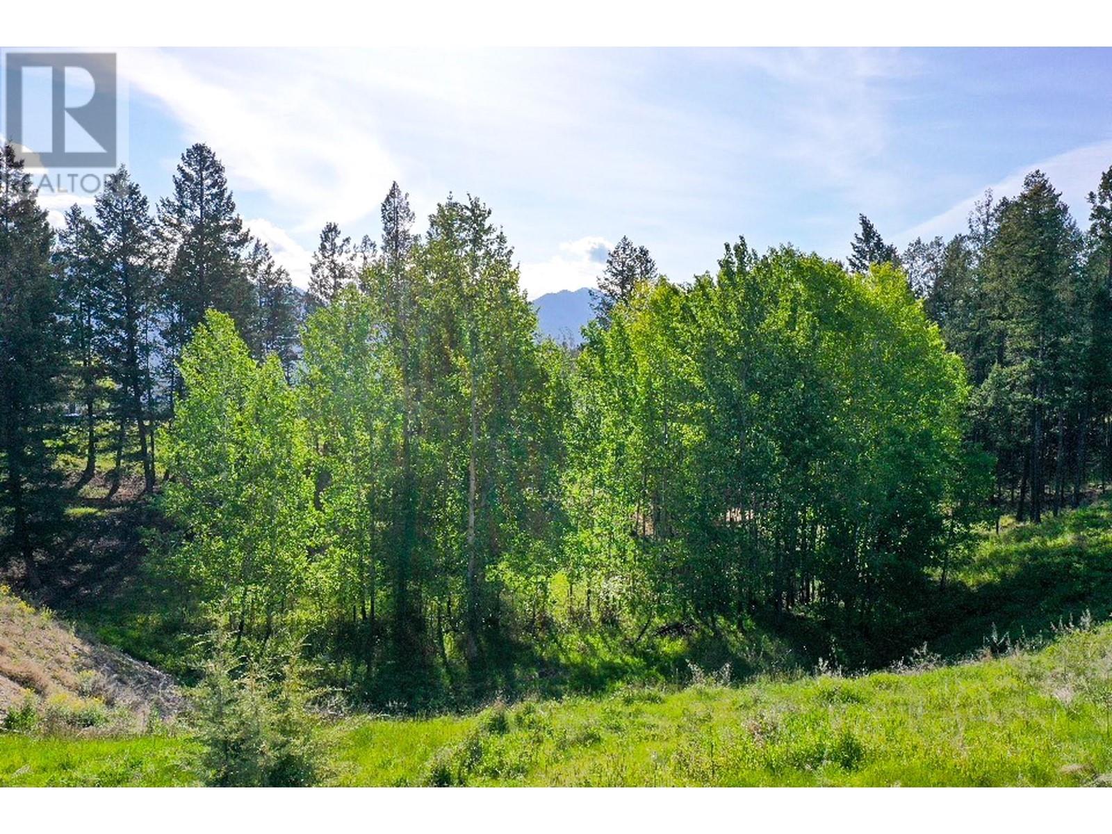 Photo 8 of 2161 Pinetree Place, Invermere BC