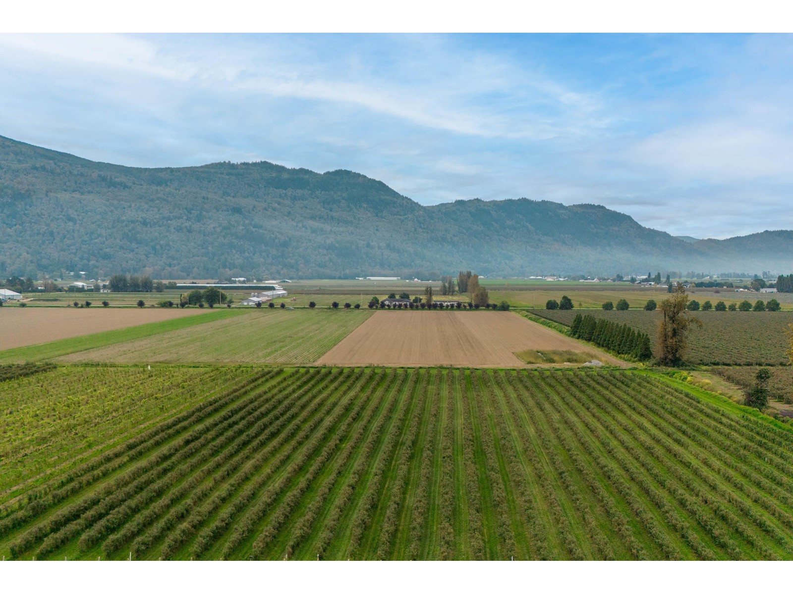 3387 TOLMIE ROAD, Abbotsford real estate listing R3006915