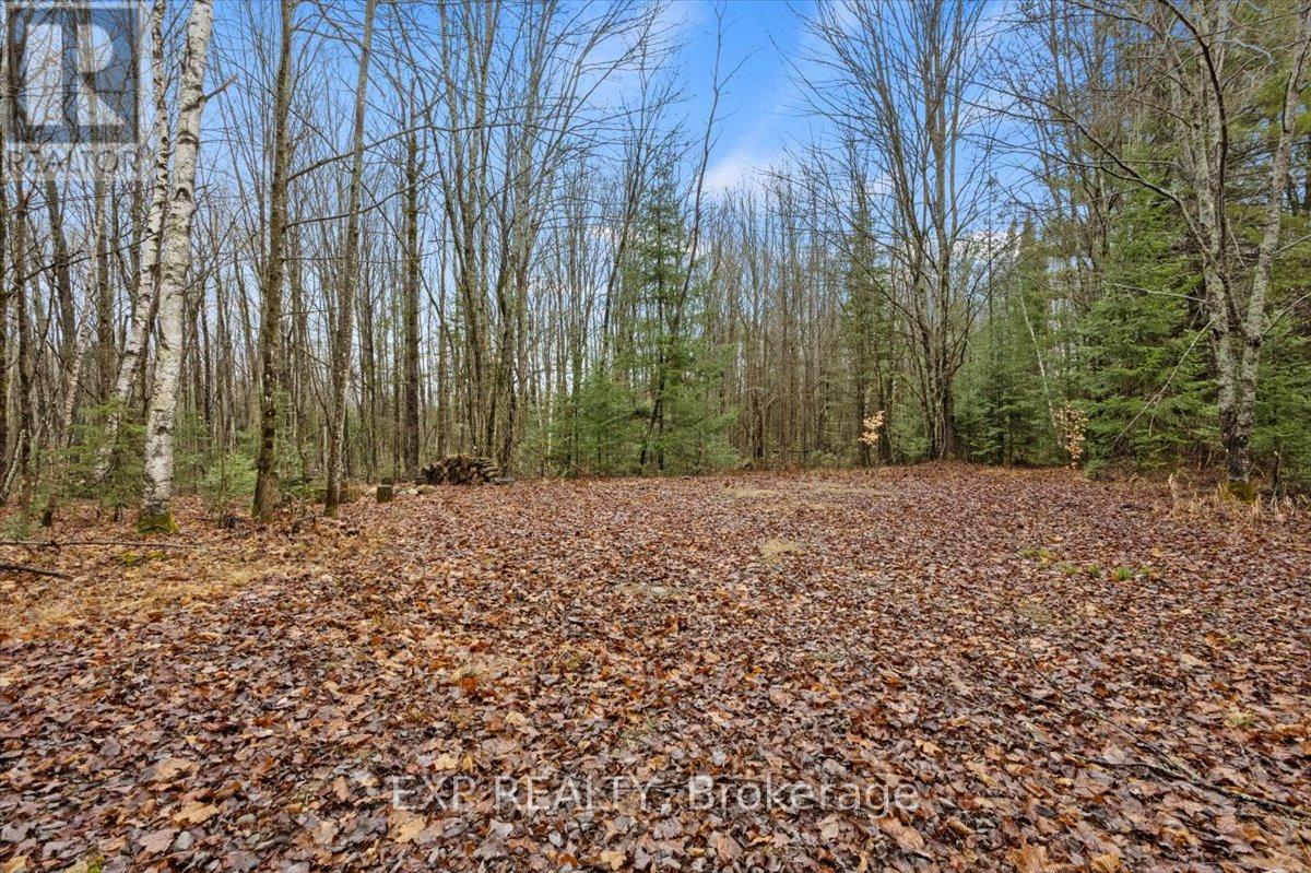 Photo 10 of 0 Gelert Road, Minden Hills ON