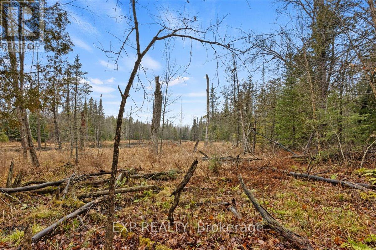 Photo 11 of 0 Gelert Road, Minden Hills ON