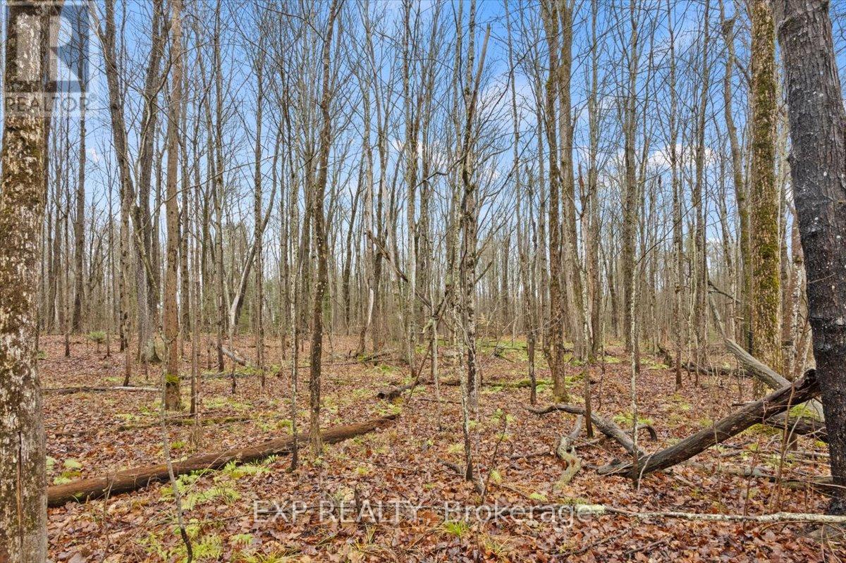 Photo 12 of 0 Gelert Road, Minden Hills ON