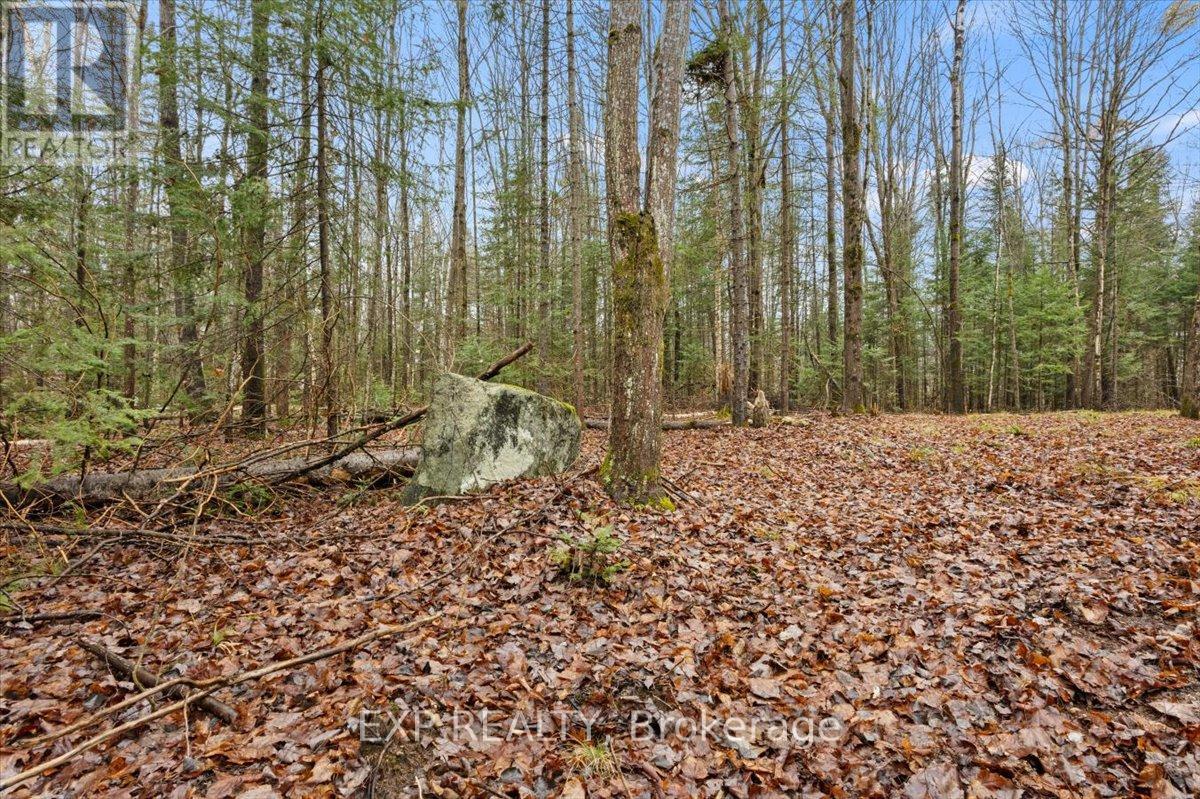 Photo 7 of 0 Gelert Road, Minden Hills ON