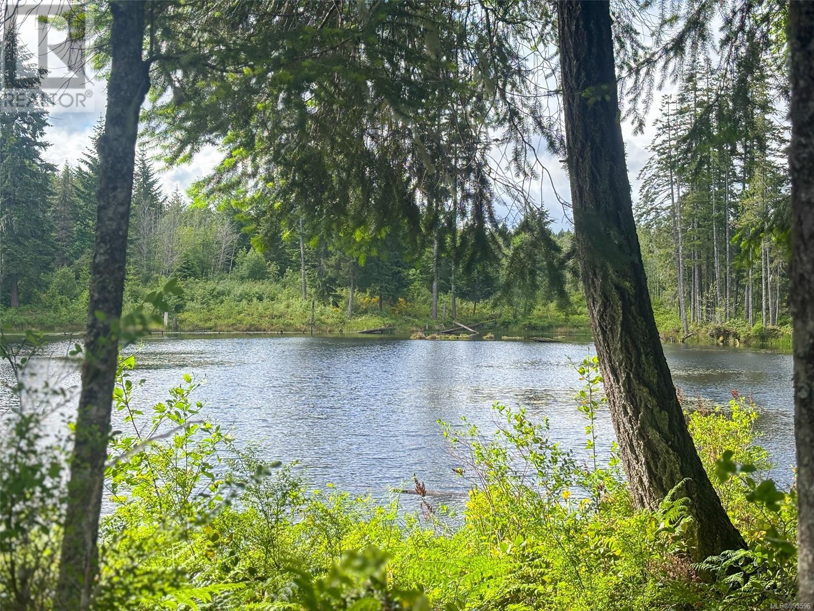 3204 Fernwood Lane, Port Alberni real estate listing 993596