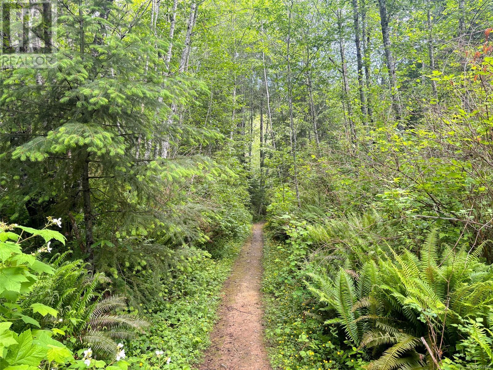 3204 Fernwood Lane, Port Alberni real estate listing 993596
