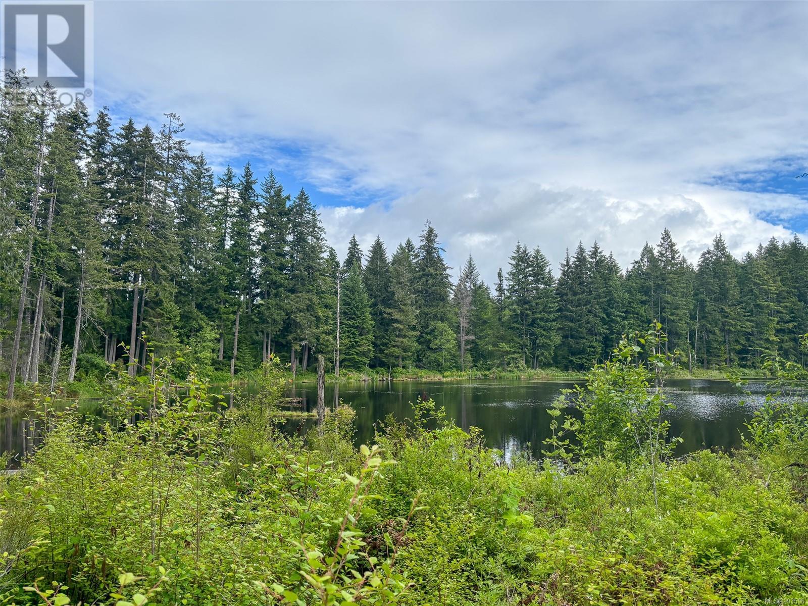 3204 Fernwood Lane, Port Alberni real estate listing 993596