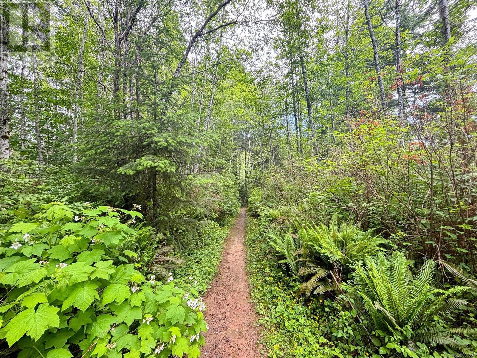 3204 Fernwood Lane, Port Alberni real estate listing 993596