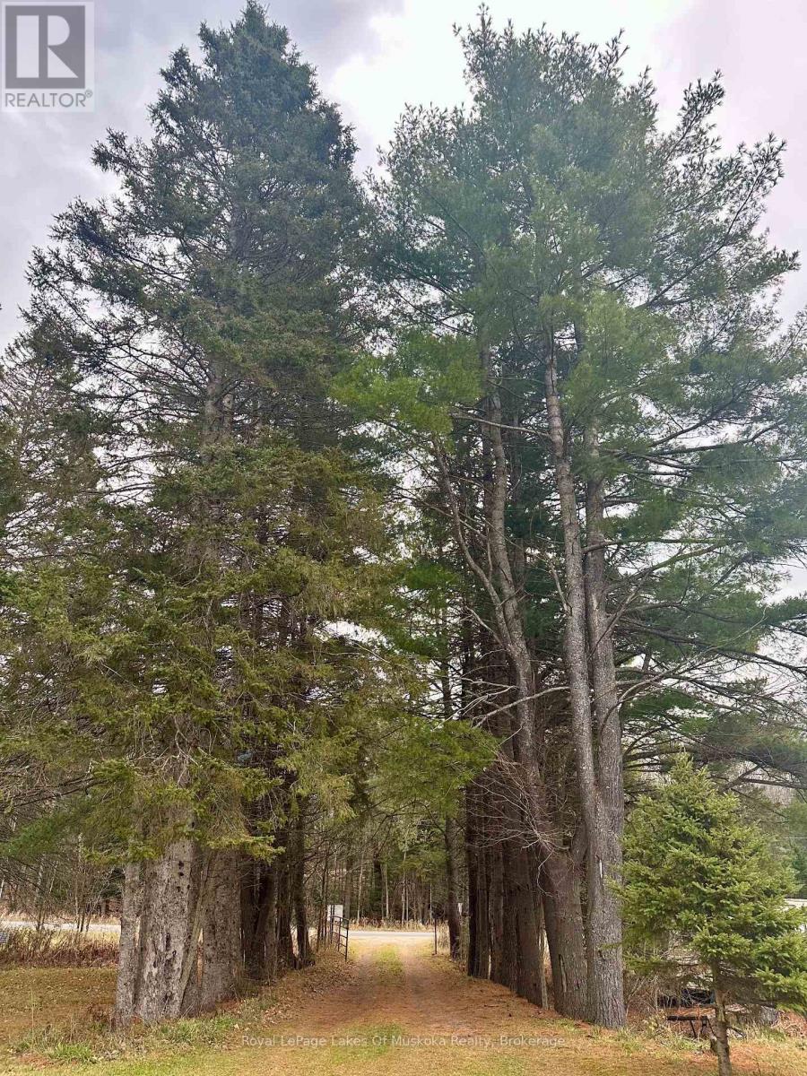 Photo 25 of 112 510 Highway, Magnetawan ON