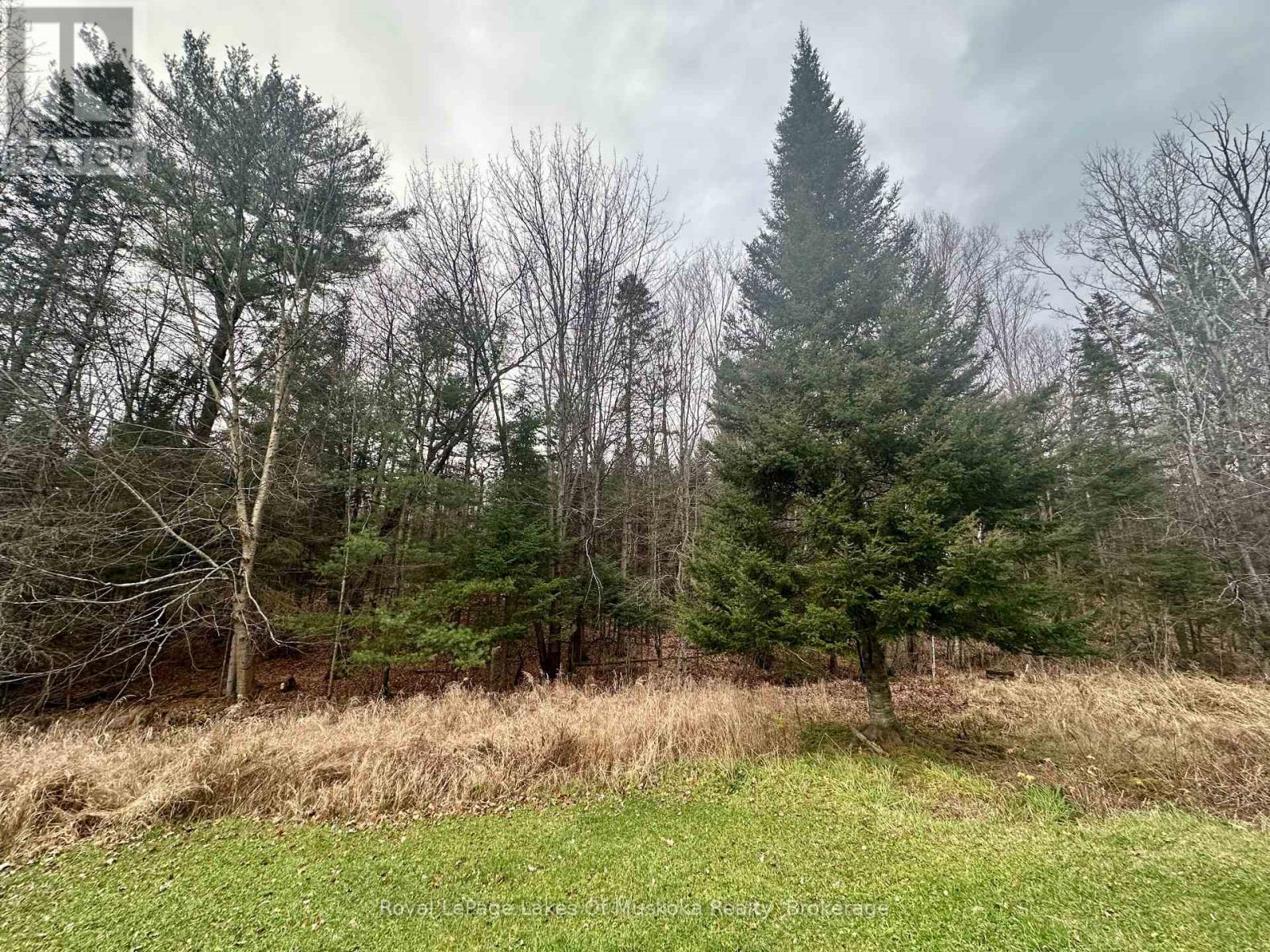 Photo 22 of 112 510 Highway, Magnetawan ON