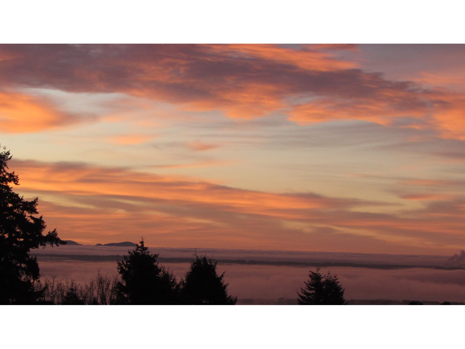 Photo 31 of 404 1439 George Street, White Rock BC