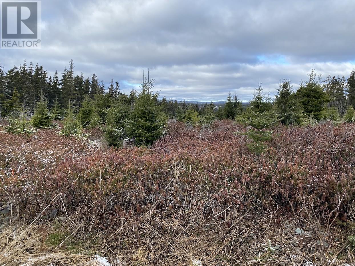 Photo 1 of 41 Old Cart Road, South River NL