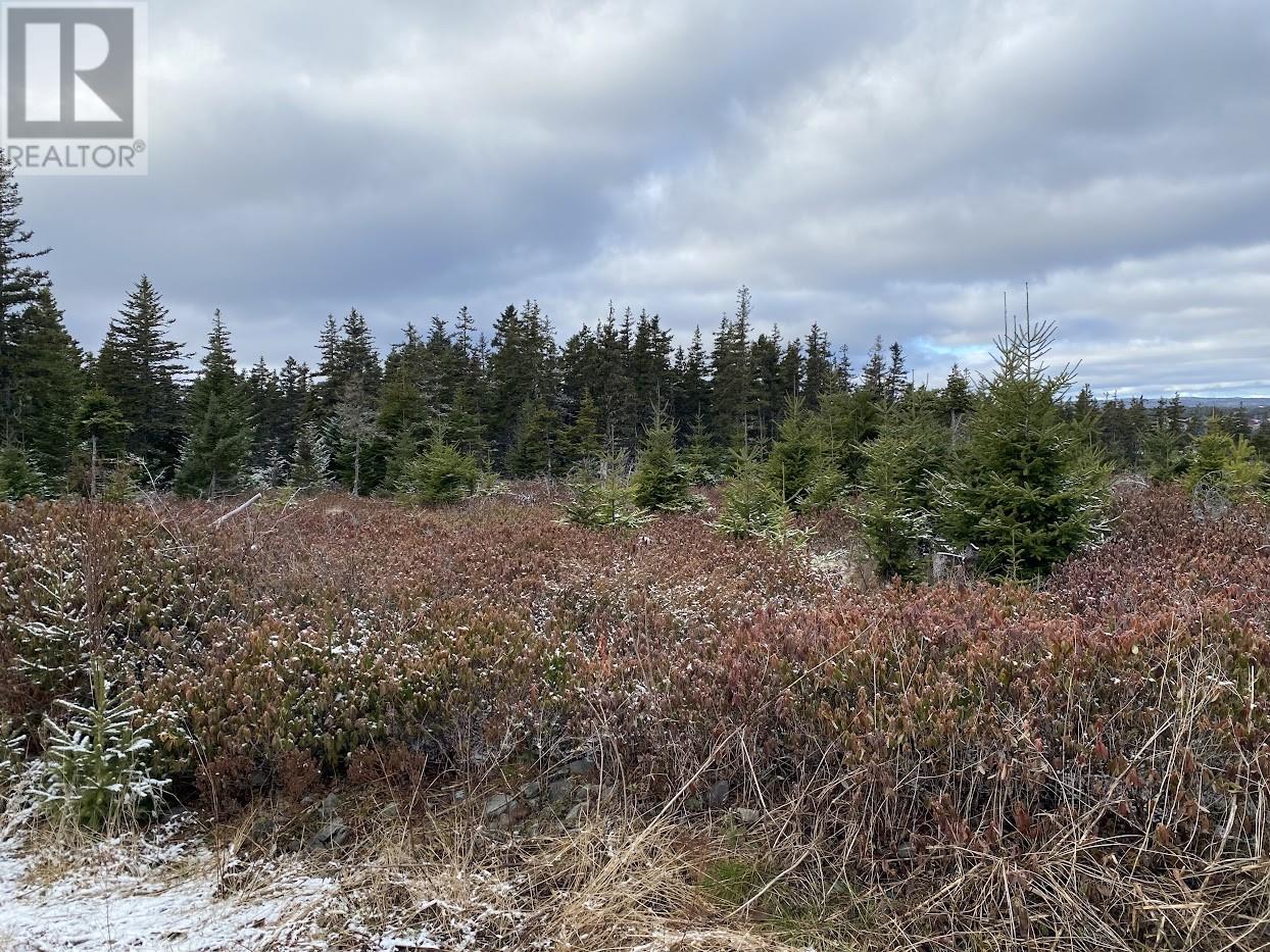 Photo 2 of 41 Old Cart Road, South River NL
