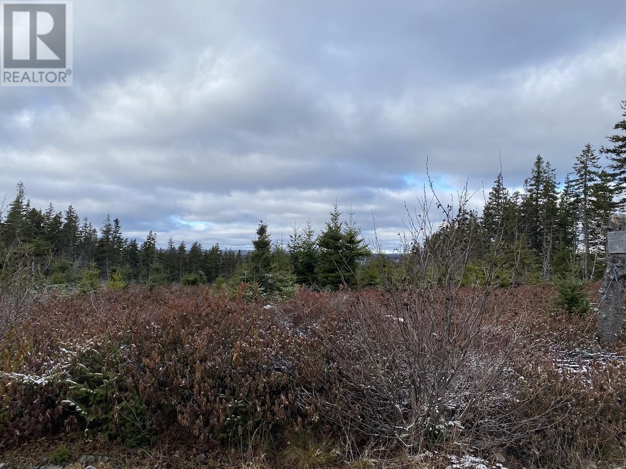 Photo 3 of 41 Old Cart Road, South River NL