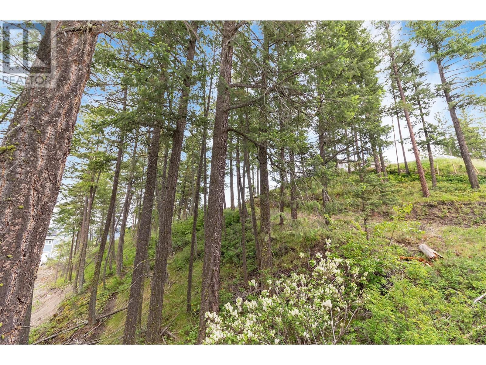  7801 Alpine Road, Fintry
