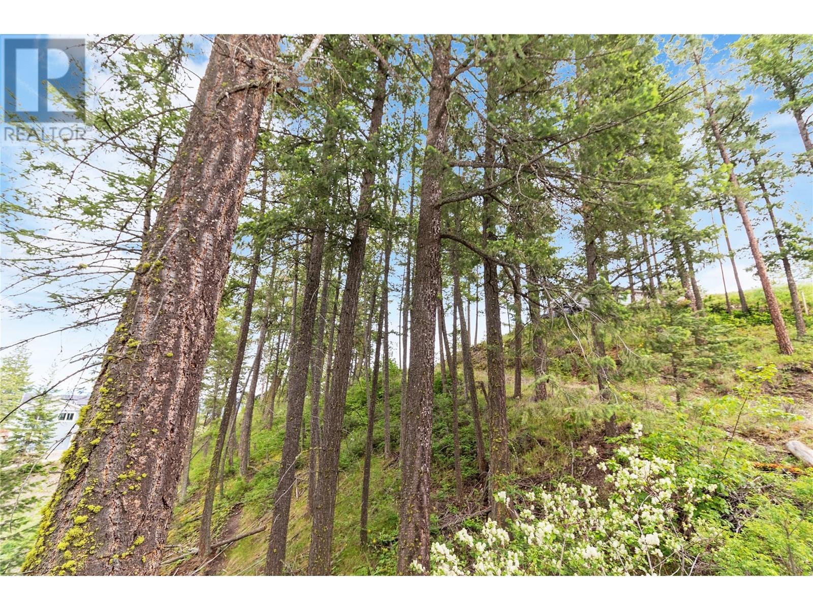  7801 Alpine Road, Fintry