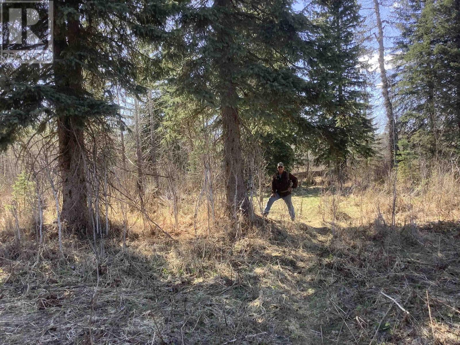 Backyard of BEND STATION ROAD · Prince George, BC