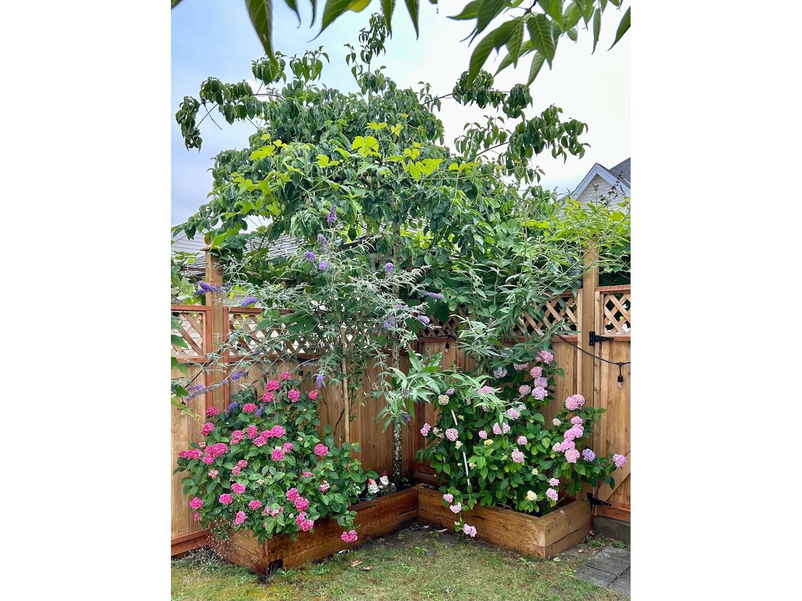 6733 193A STREET, Surrey real estate listing R3008351