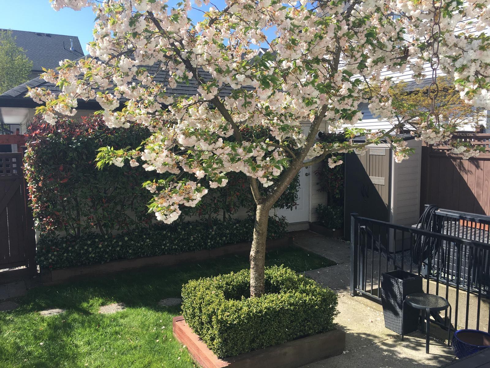 6733 193A STREET, Surrey real estate listing R3008351