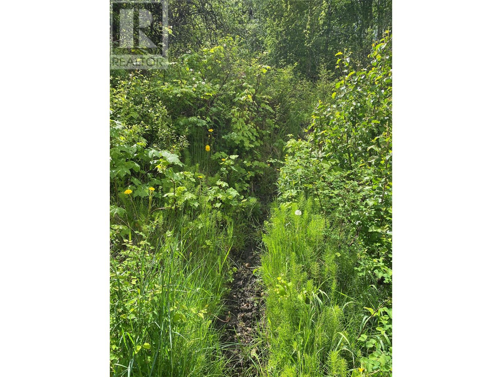 Lot 1 - 9 Arrow Lakes Drive, Castlegar
