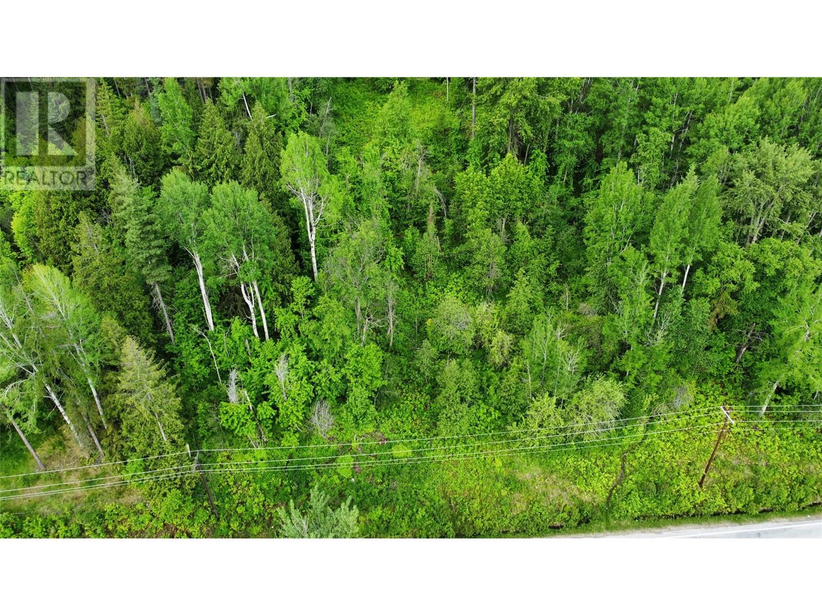  Arrow Lakes Drive, Castlegar