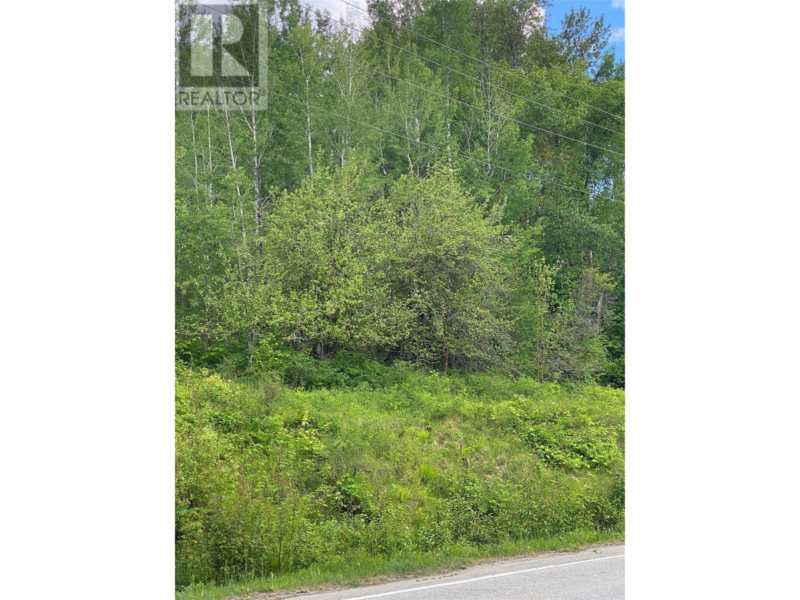  Arrow Lakes Drive, Castlegar