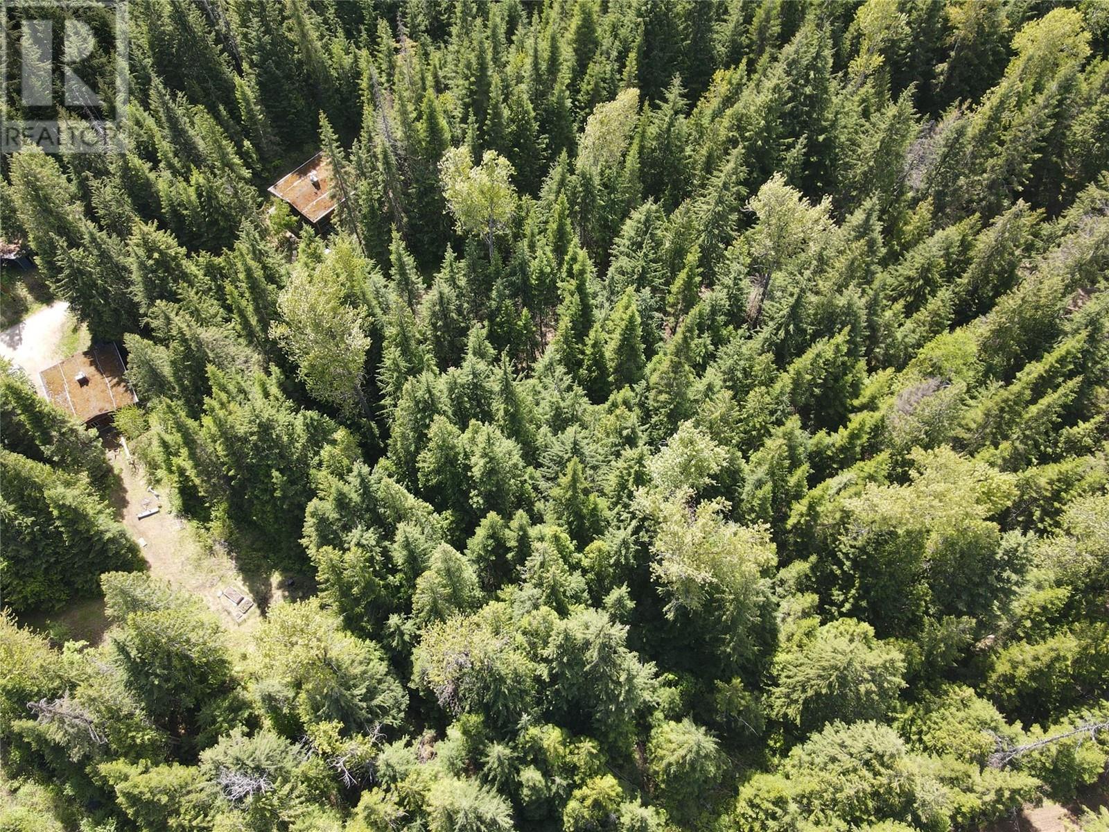 Photo 35 of 6610 6 Highway, Ymir BC