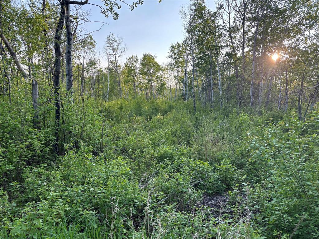 Photo 1 of 7 Mildred Place, Victoria Beach MB