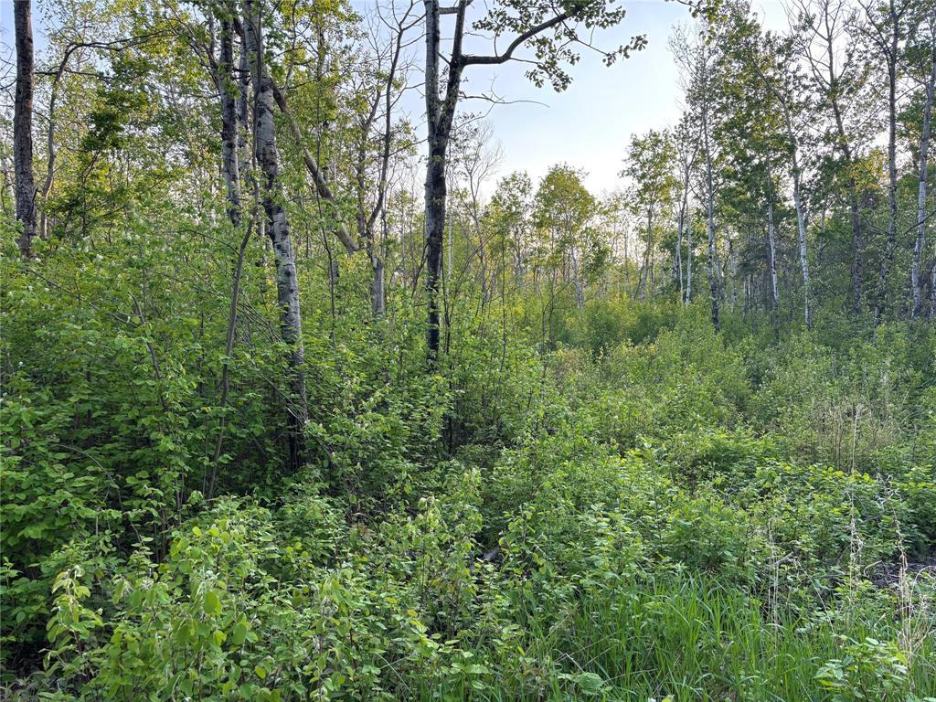Photo 4 of 7 Mildred Place, Victoria Beach MB