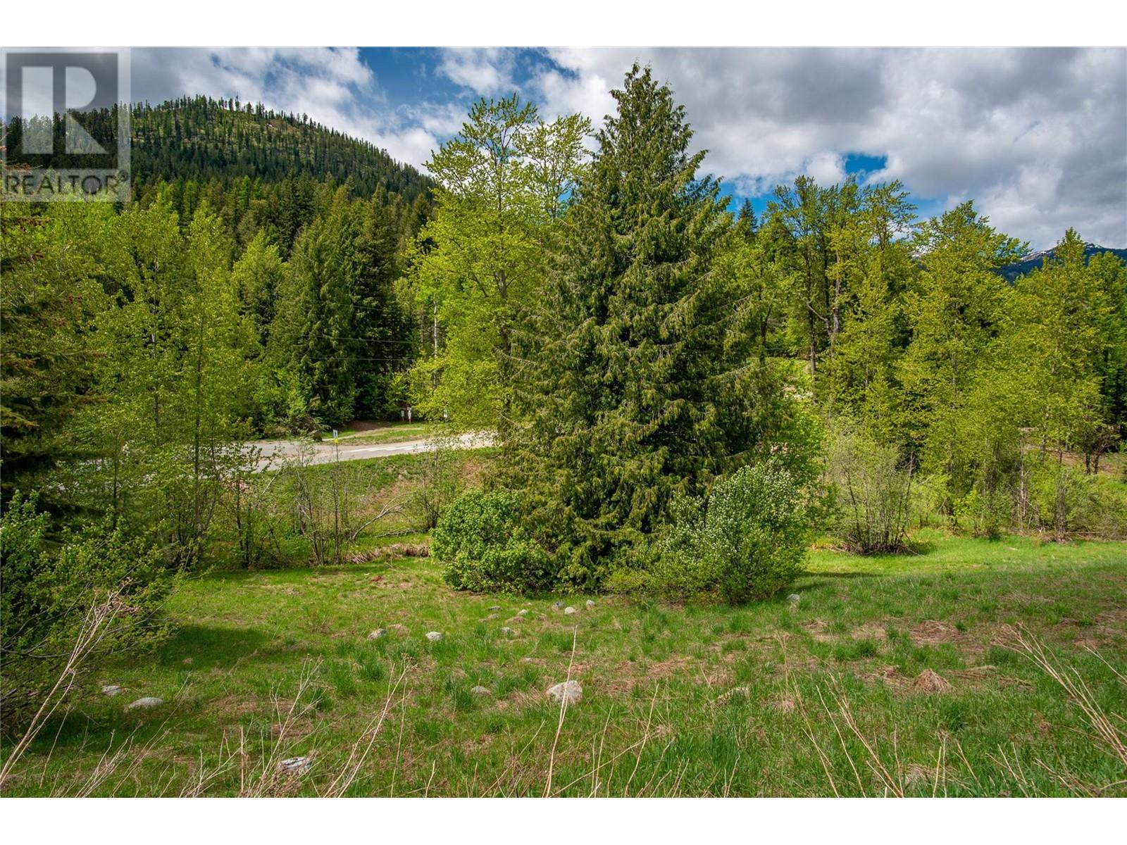 201 JOLIFFE Way, Rossland