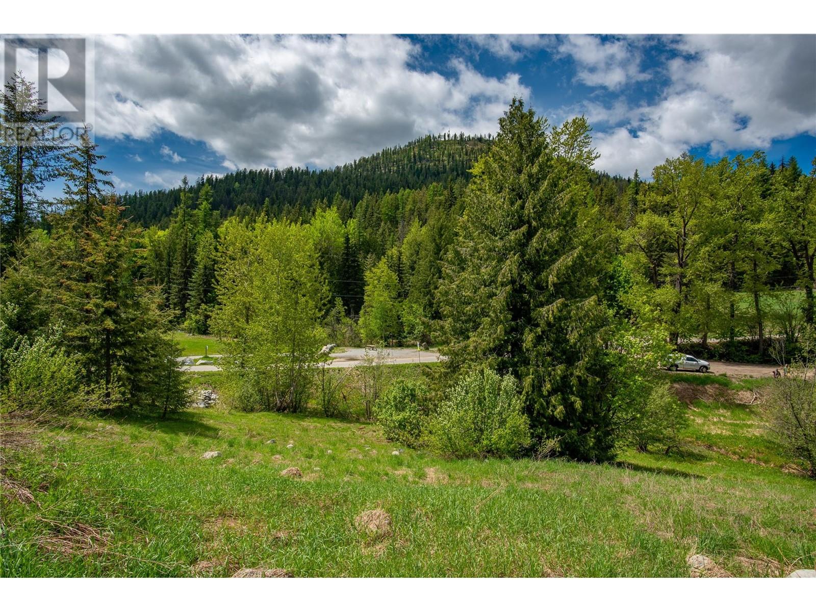 201 JOLIFFE Way, Rossland