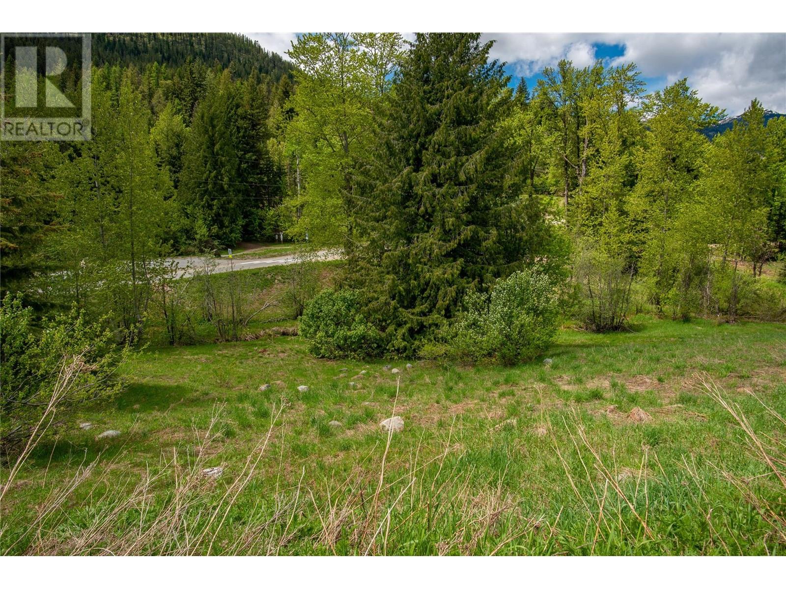201 JOLIFFE Way, Rossland