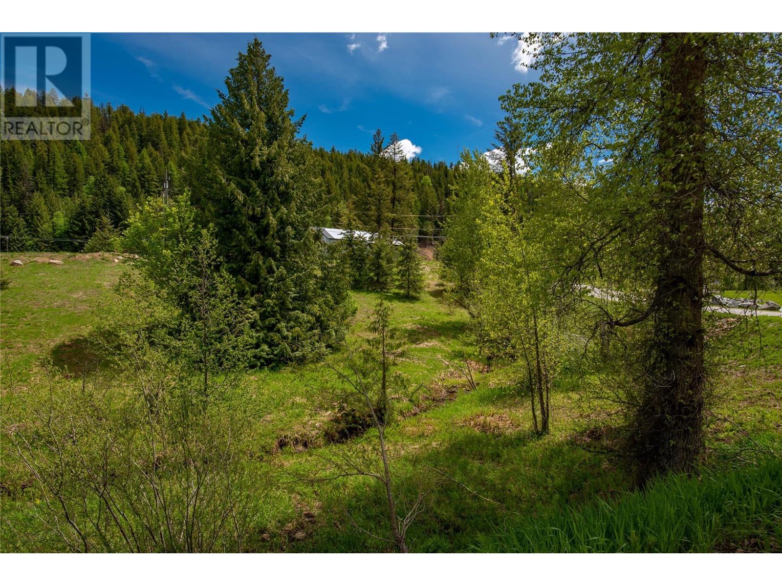 201 JOLIFFE Way, Rossland