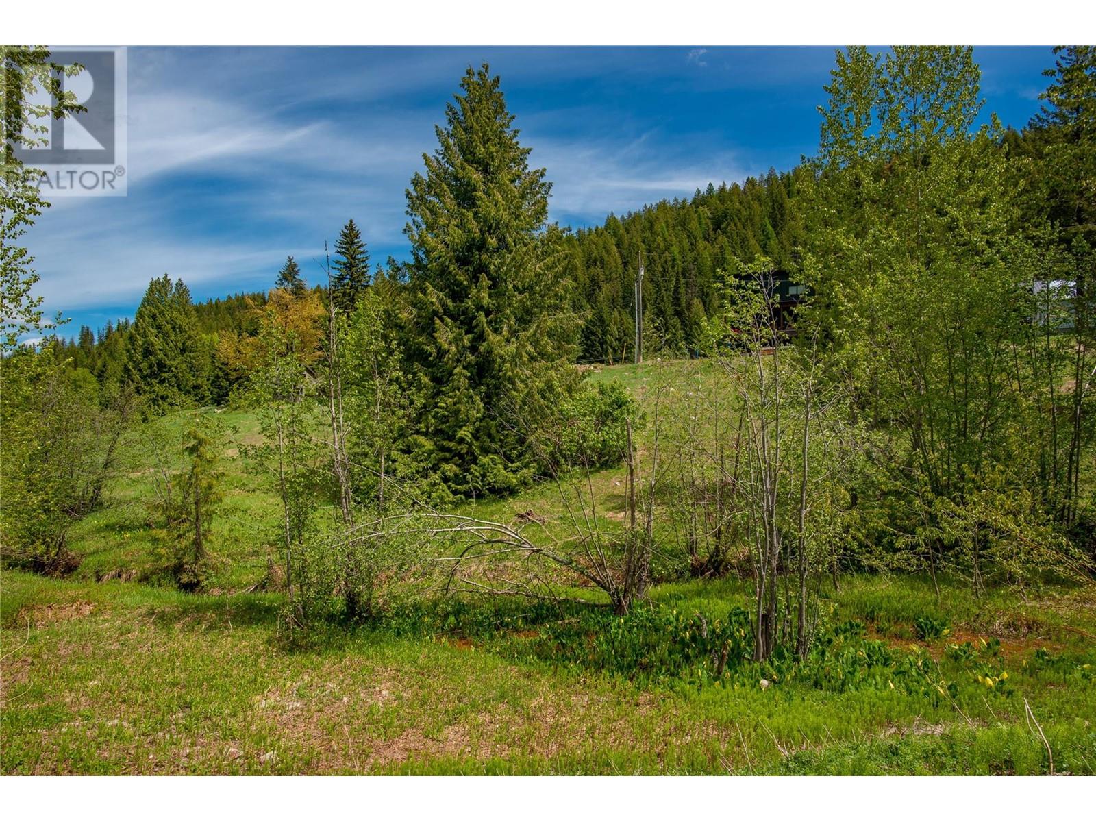 201 JOLIFFE Way, Rossland