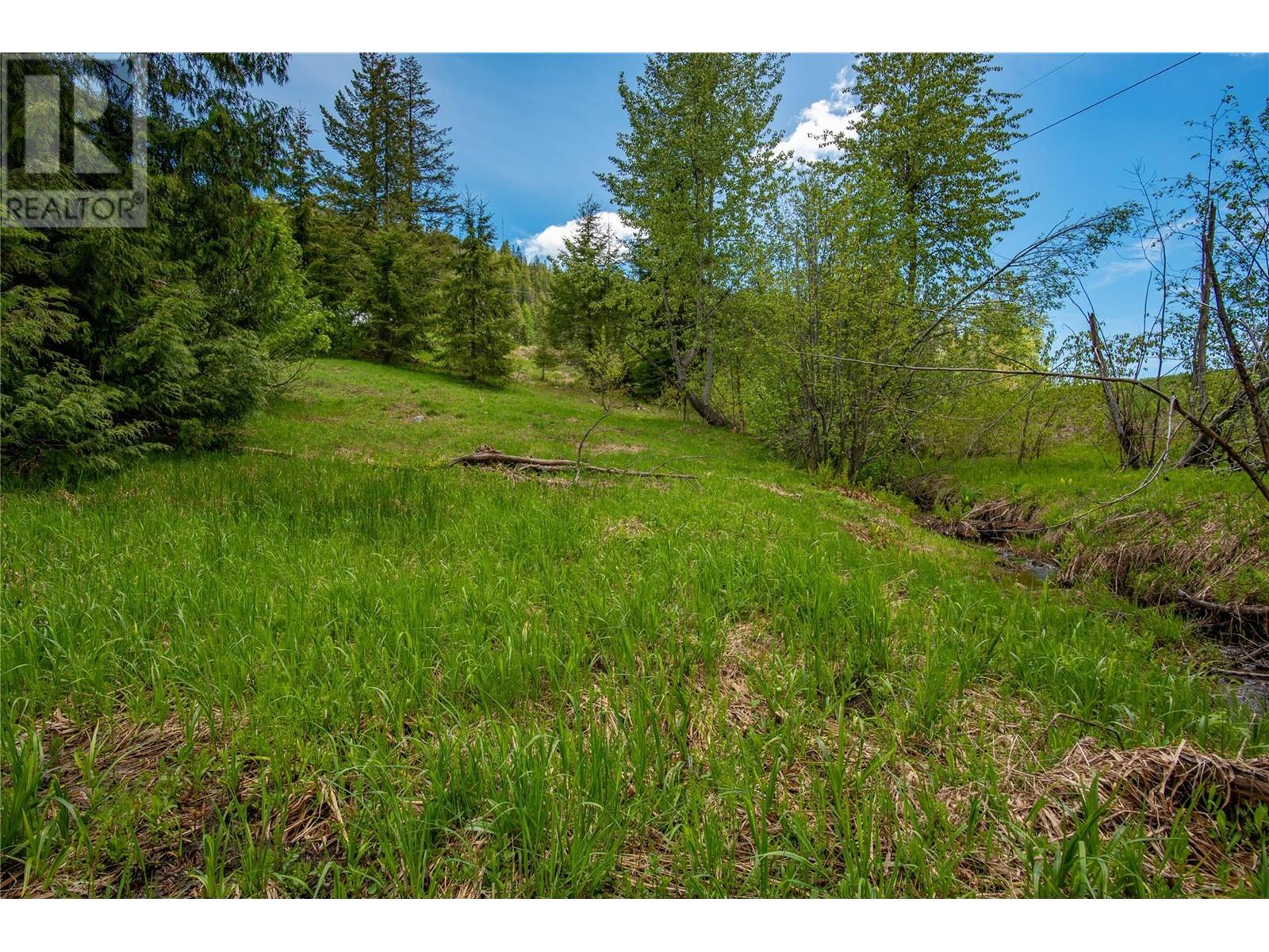 201 JOLIFFE Way, Rossland