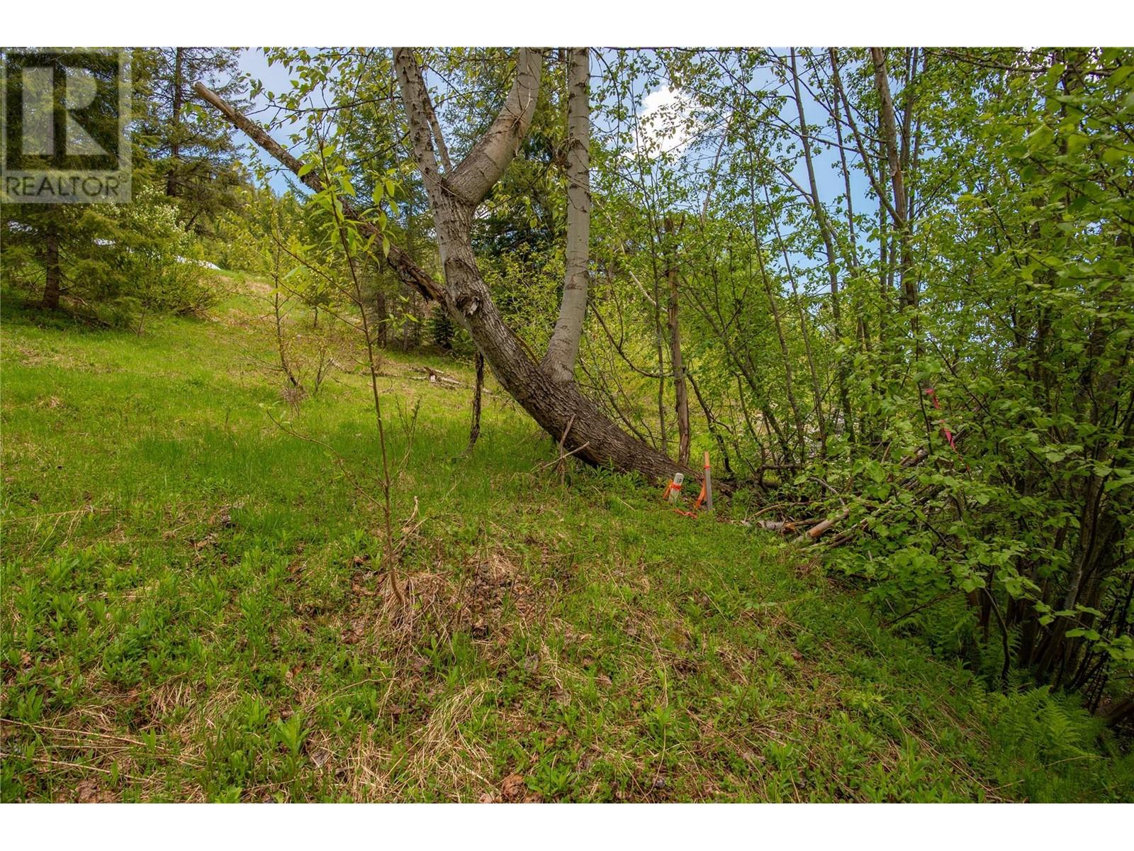 201 JOLIFFE Way, Rossland