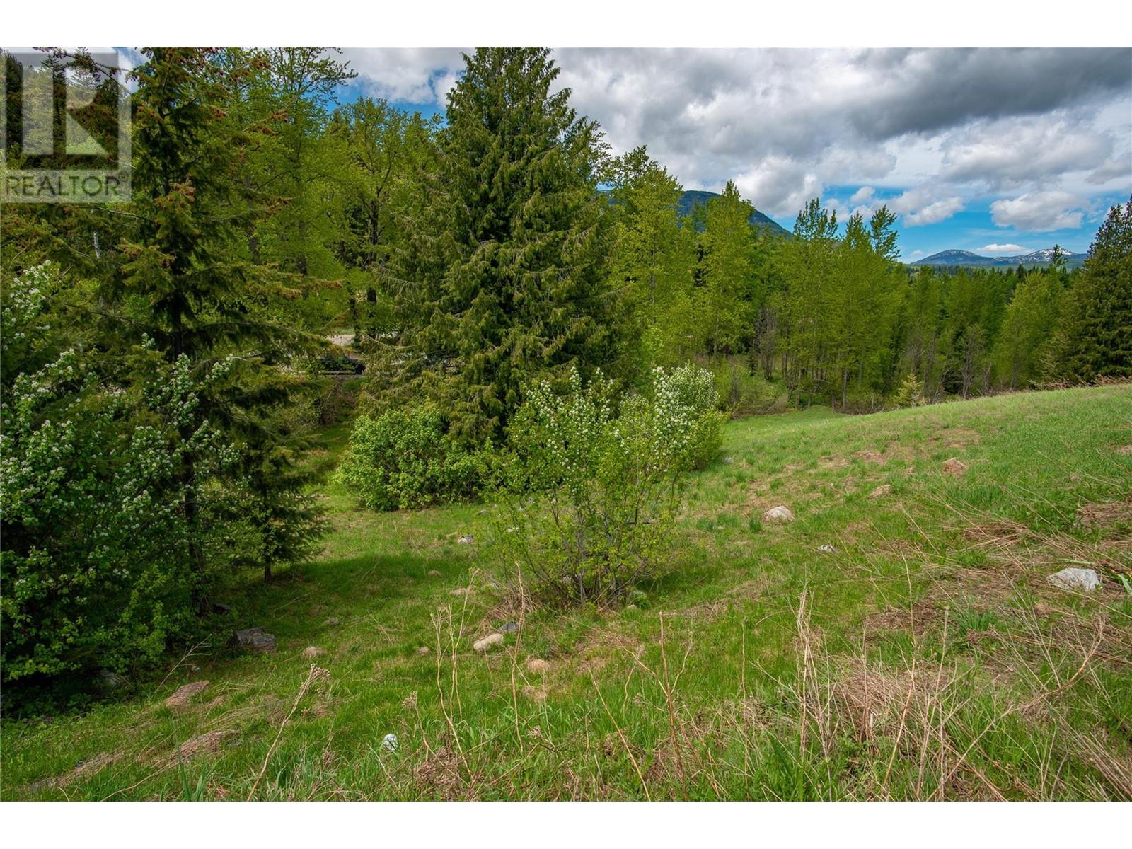 201 JOLIFFE Way, Rossland