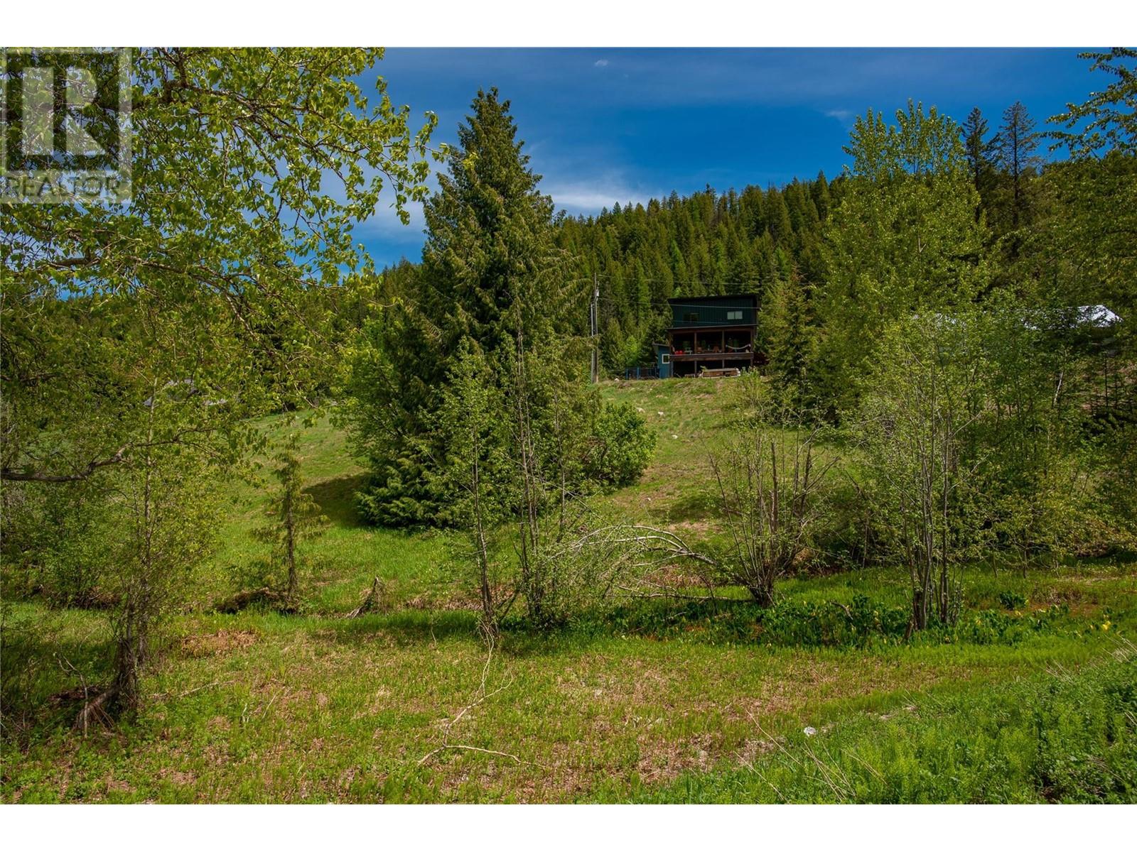 201 JOLIFFE Way, Rossland