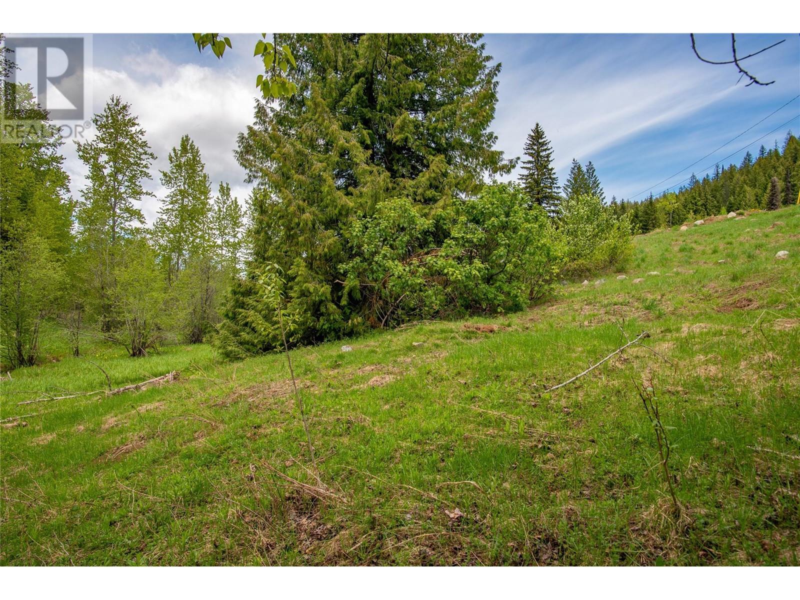 201 JOLIFFE Way, Rossland