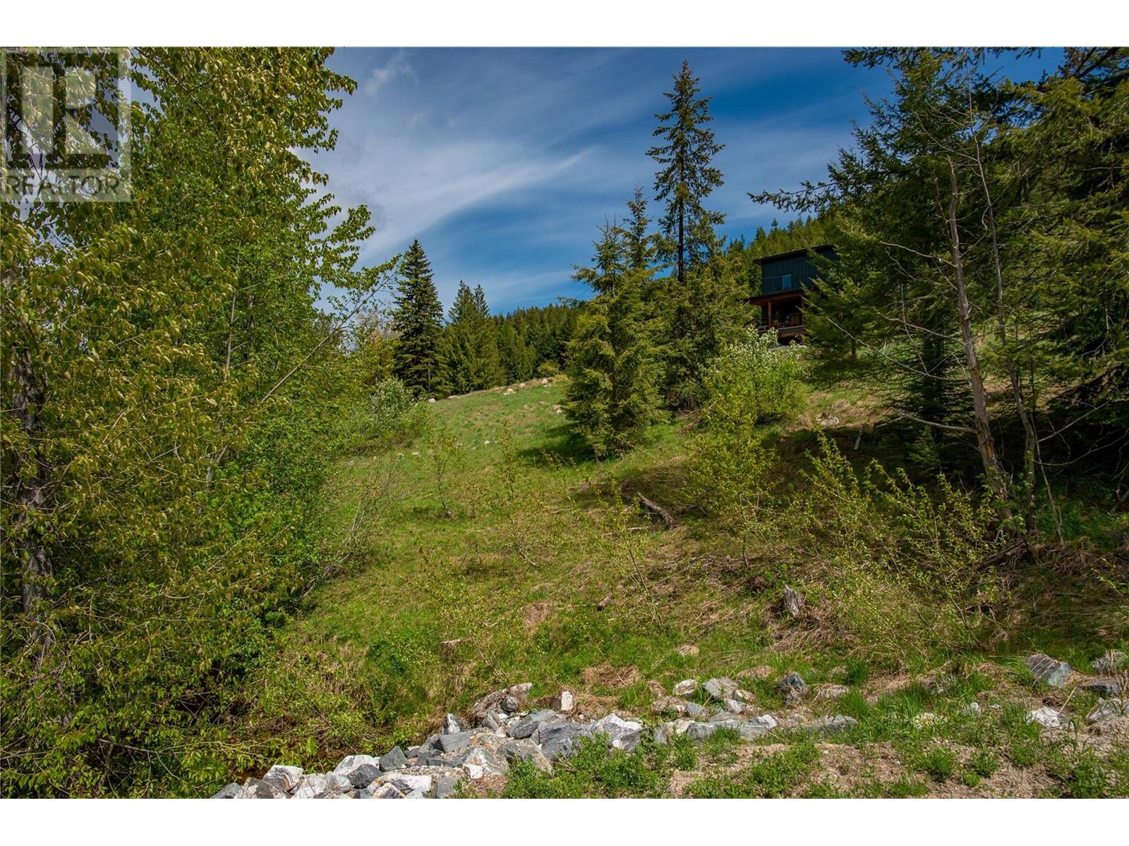 201 JOLIFFE Way, Rossland