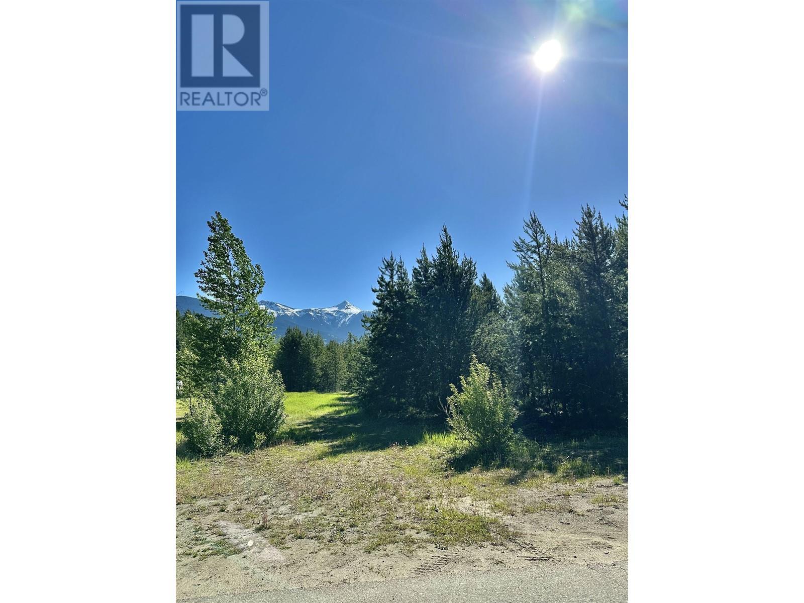 1923 CRANBERRY PLACE, Valemount