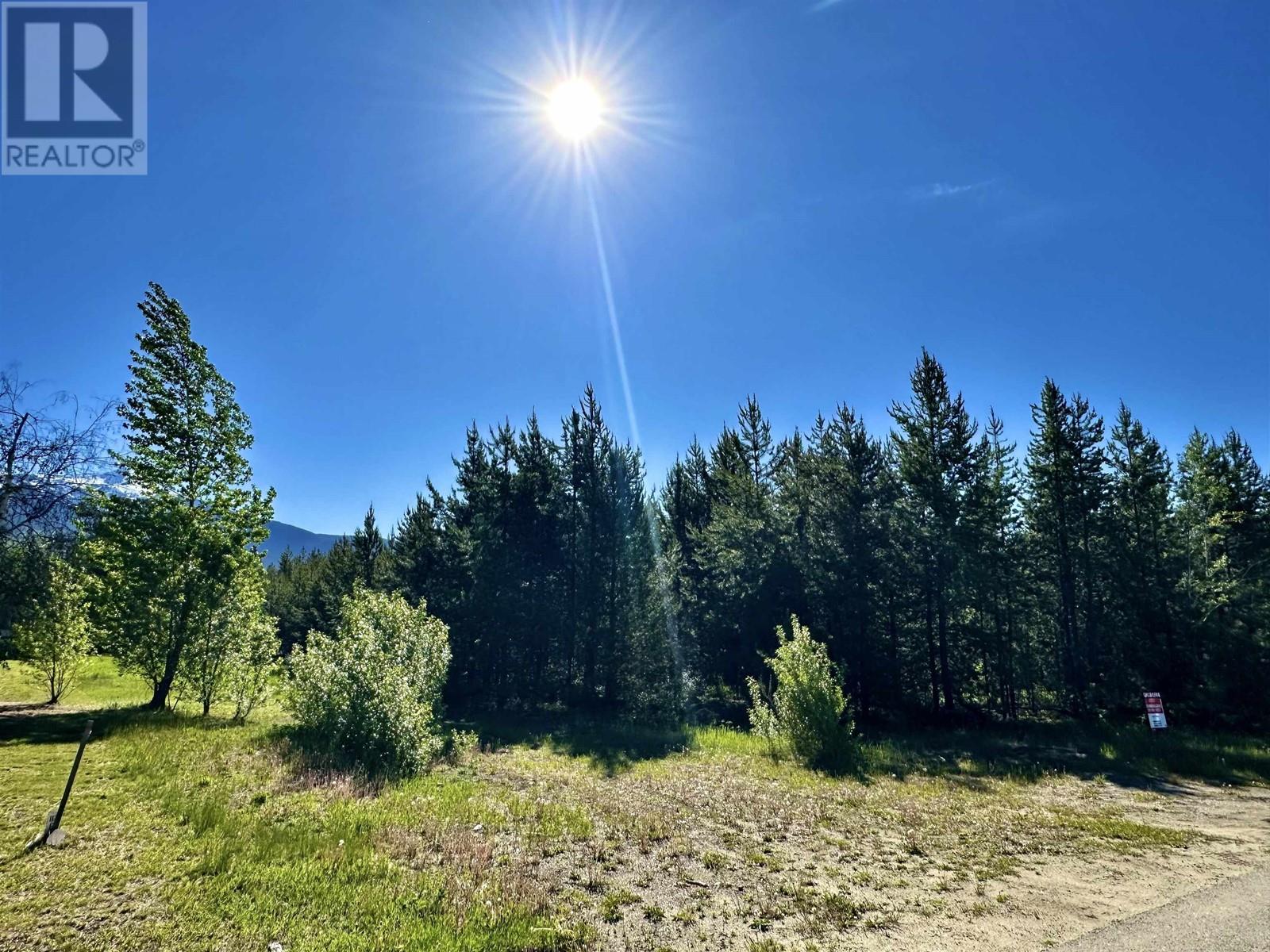 1923 CRANBERRY PLACE, Valemount